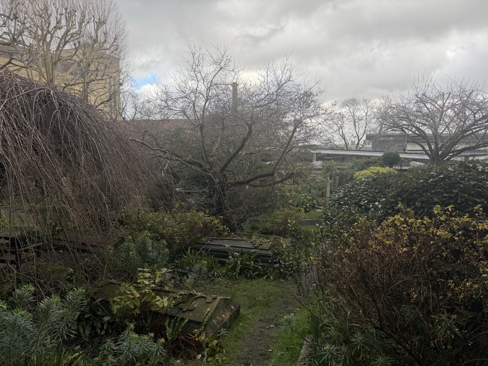 The cathedral garden