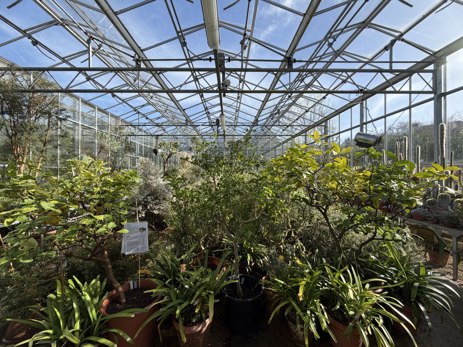 Inside the glasshouse