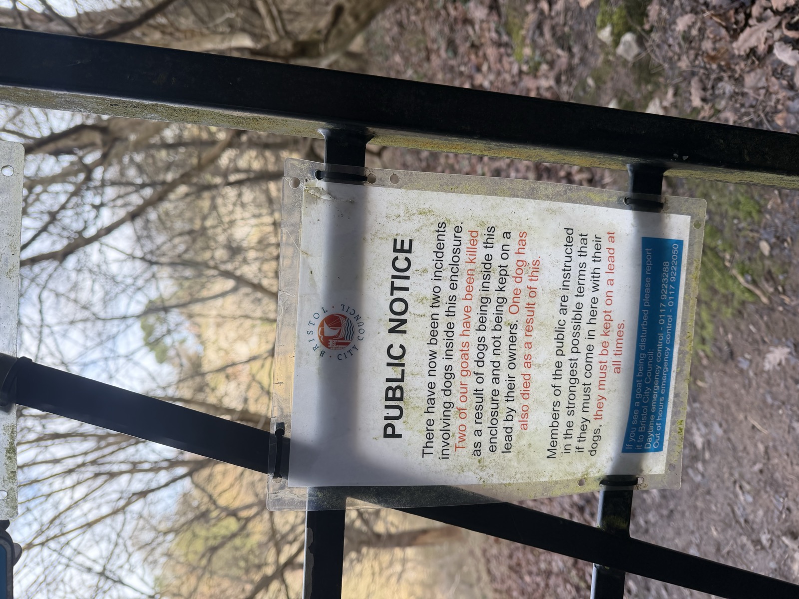 The goat-and-dog sign