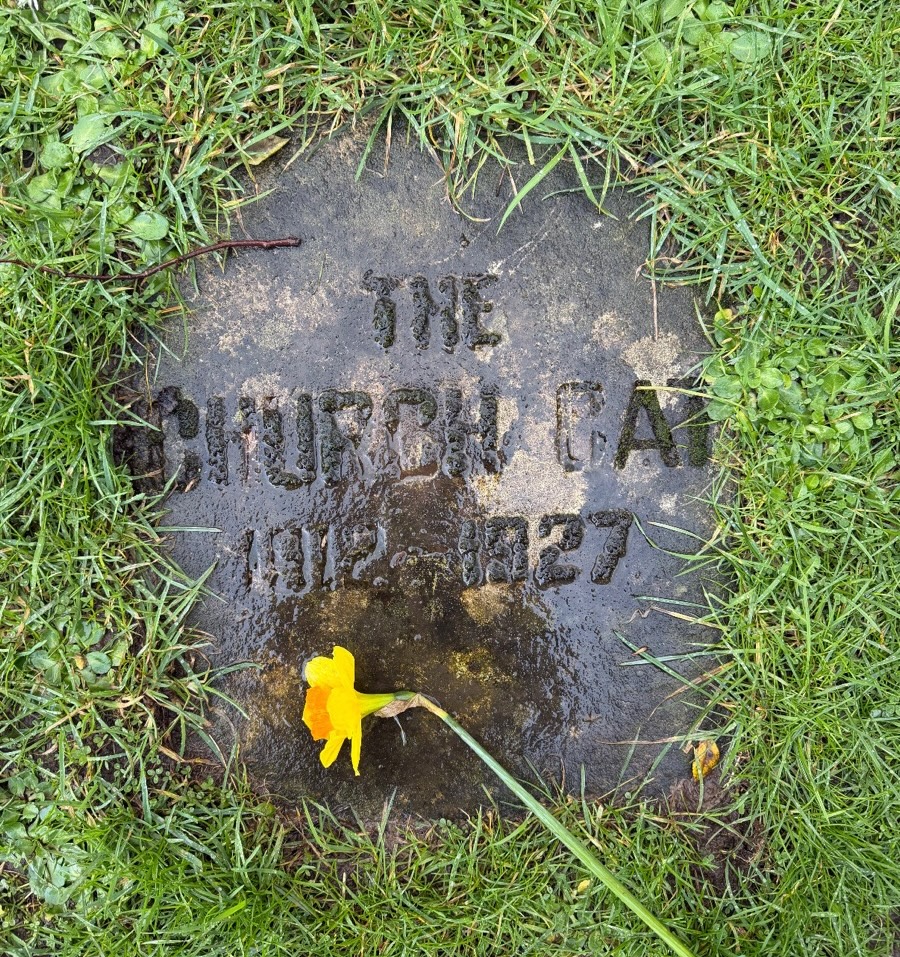 The church cat's grave